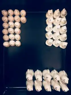 imagen 7 Rescue Polar Bears: Data & Temperature