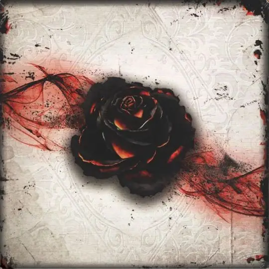 Portada Black Rose Wars Ares Games
