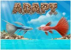 Portada A.D.A.P.T.